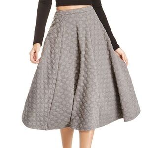 Elegant Charcoal A-Line Skirt